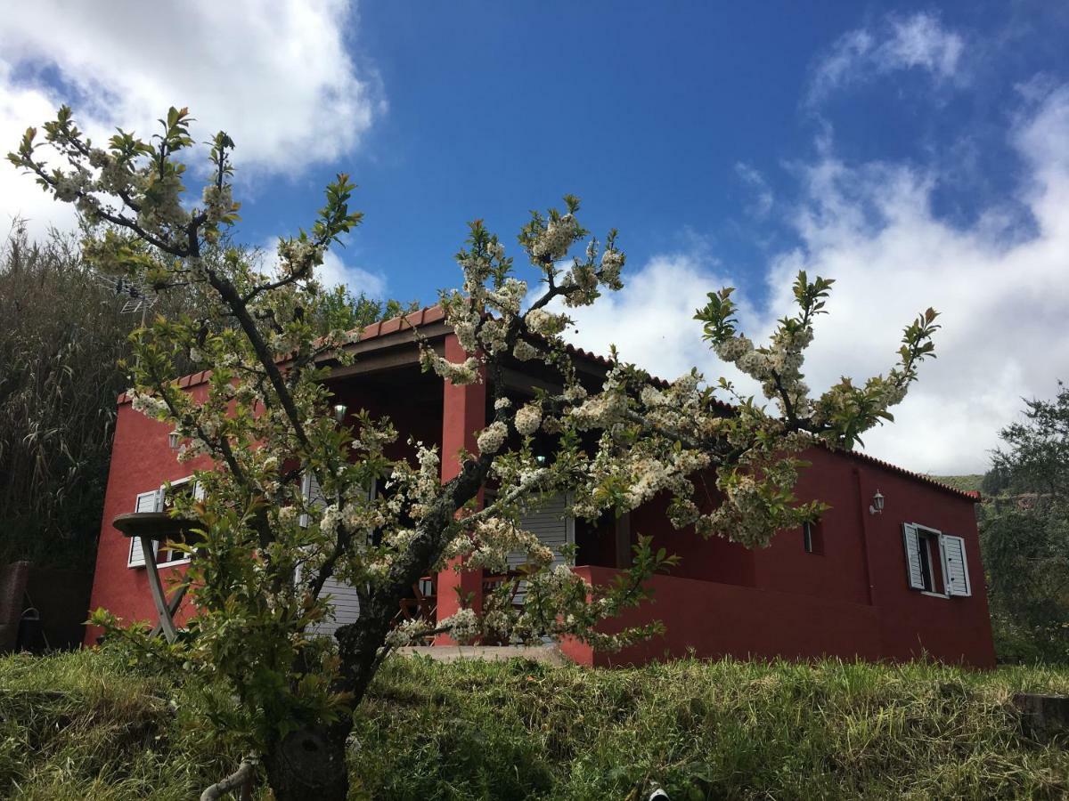 Villa Rafael 维加-德圣马特奥 外观 照片