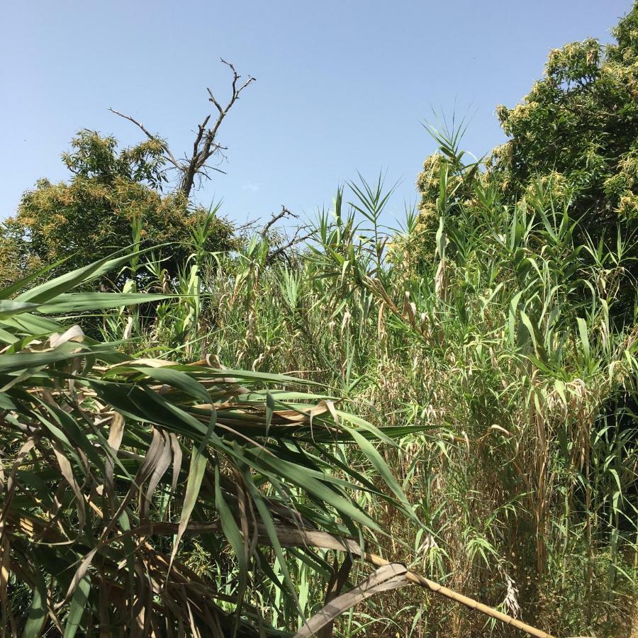 Villa Rafael 维加-德圣马特奥 外观 照片